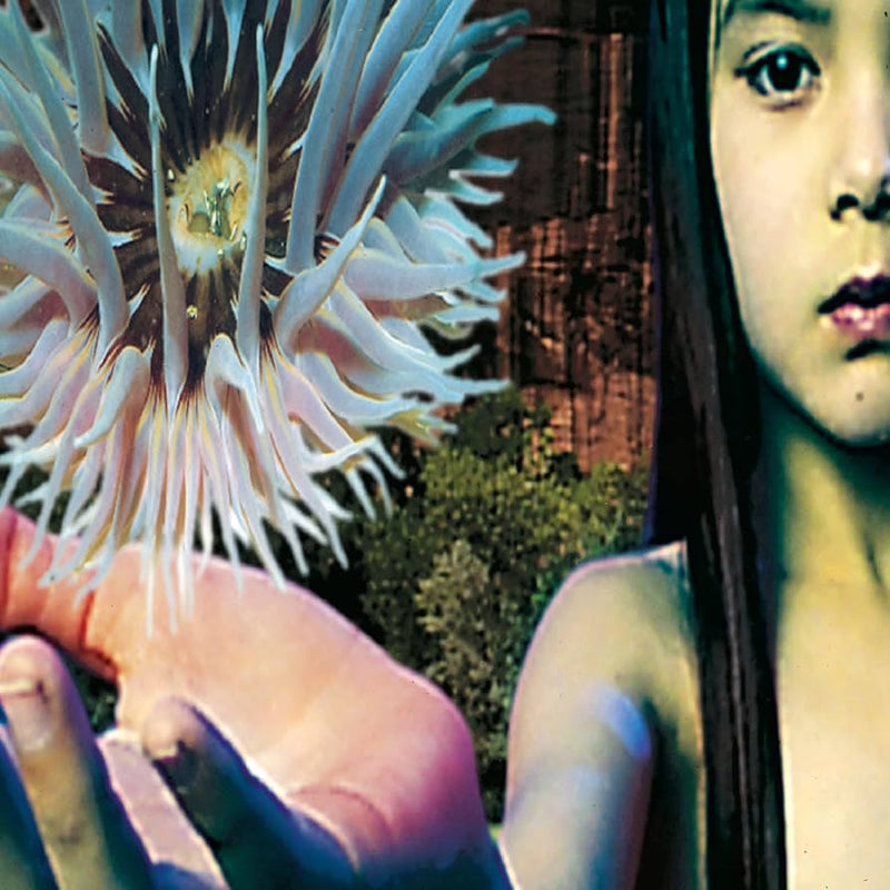 The Future Sound Of London — Lifeforms — обложка
