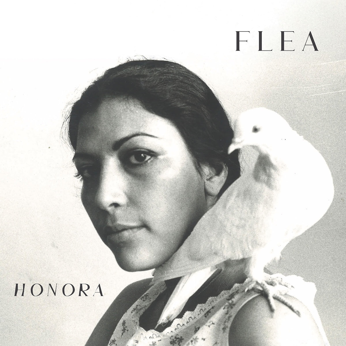 Flea — Honora