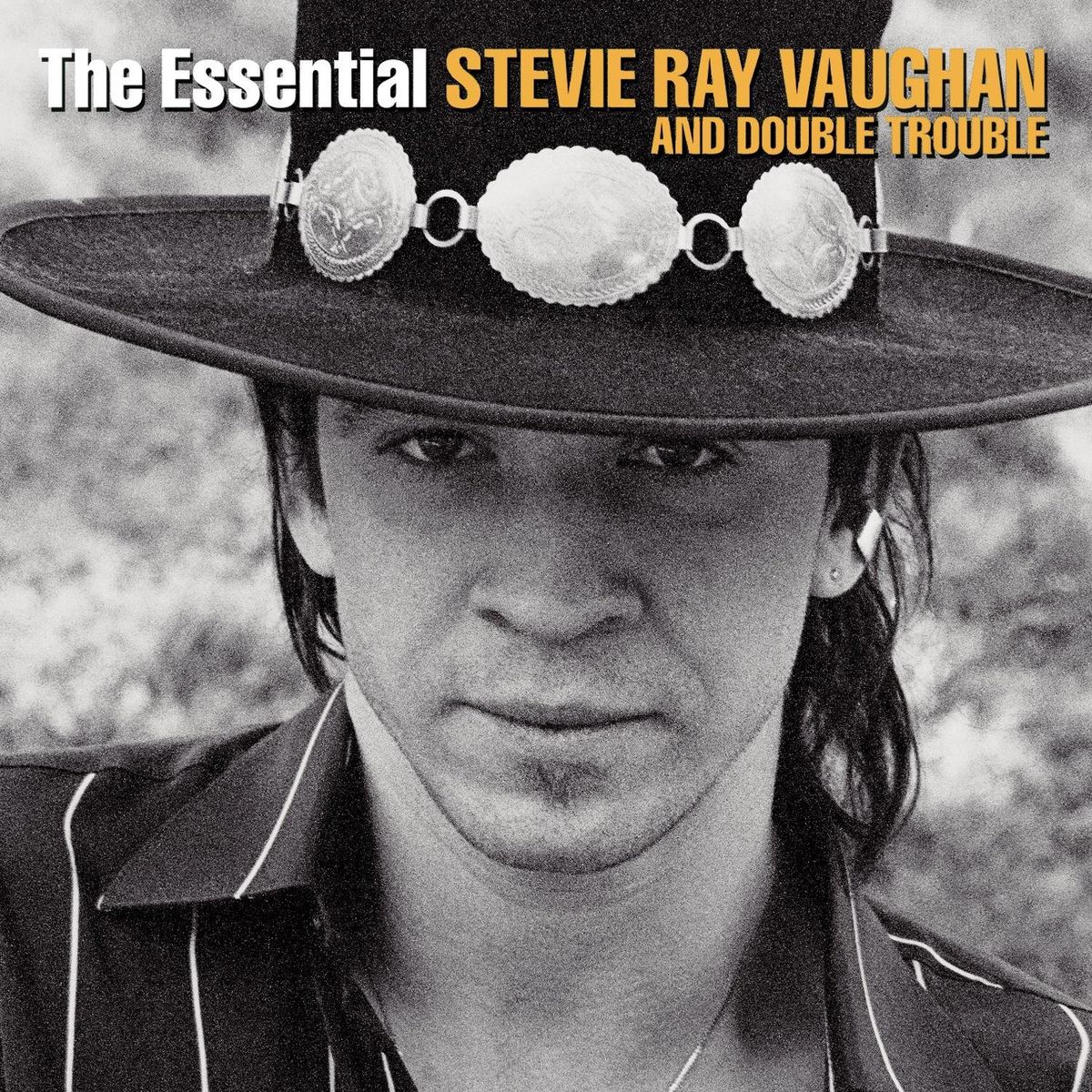 Stevie Ray Vaughan & Double Trouble — The Essential Stevie Ray Vaughan And Double Trouble