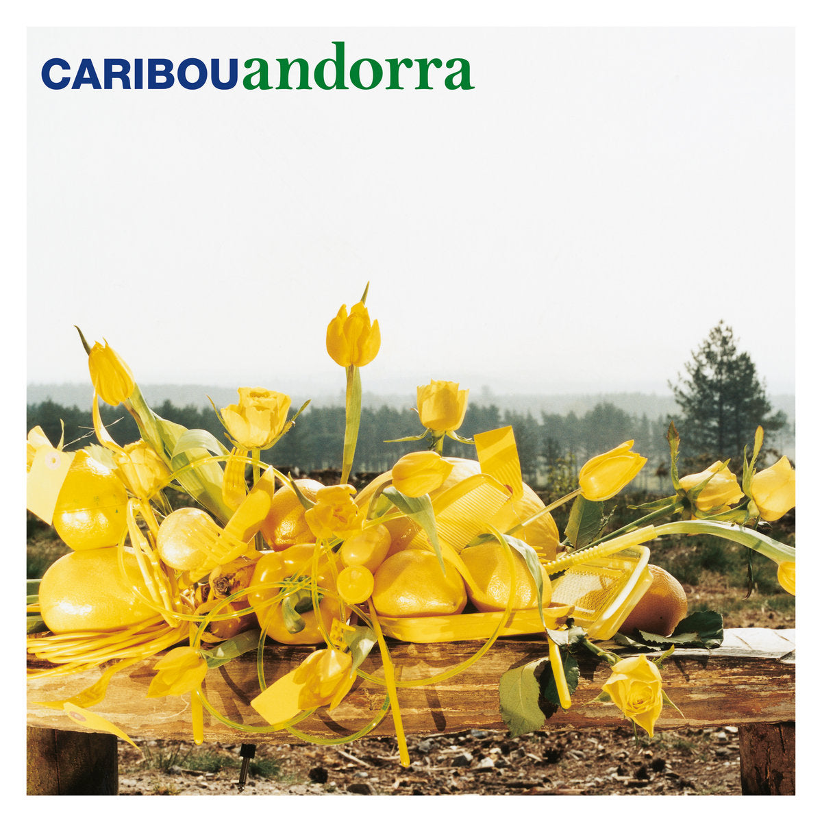 Caribou — Andorra