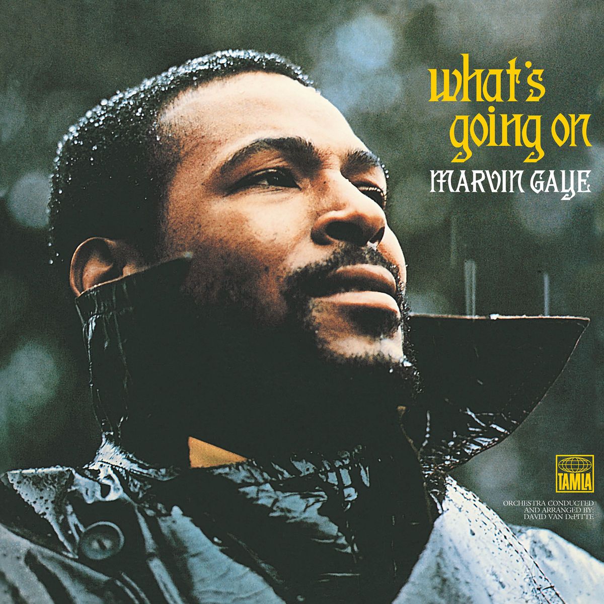 Marvin Gaye — What's Going On