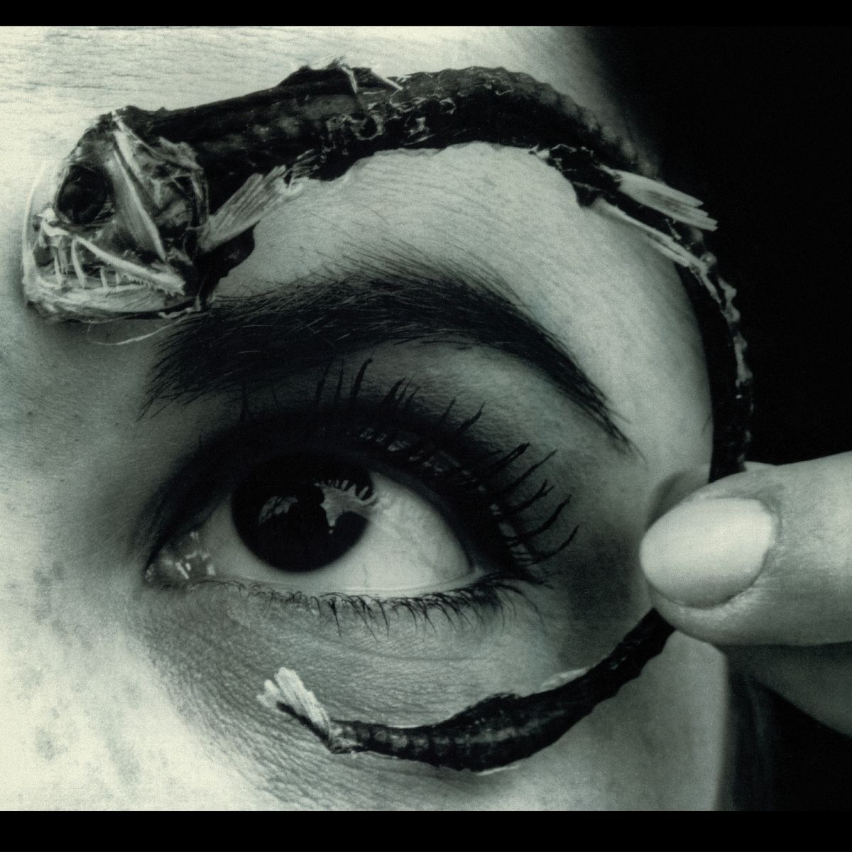 Mr. Bungle — Disco Volante
