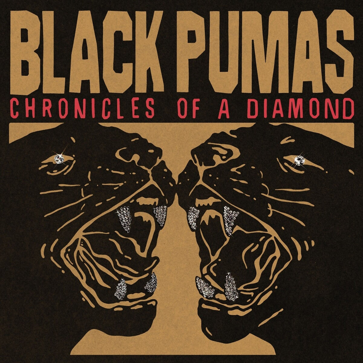 Black Pumas — Chronicles Of A Diamond