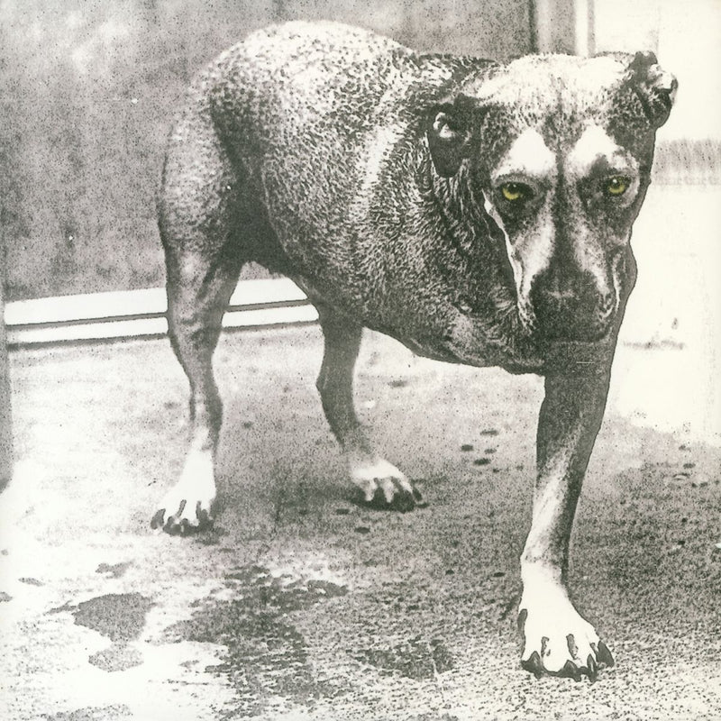 Alice In Chains — Alice In Chains — обложка
