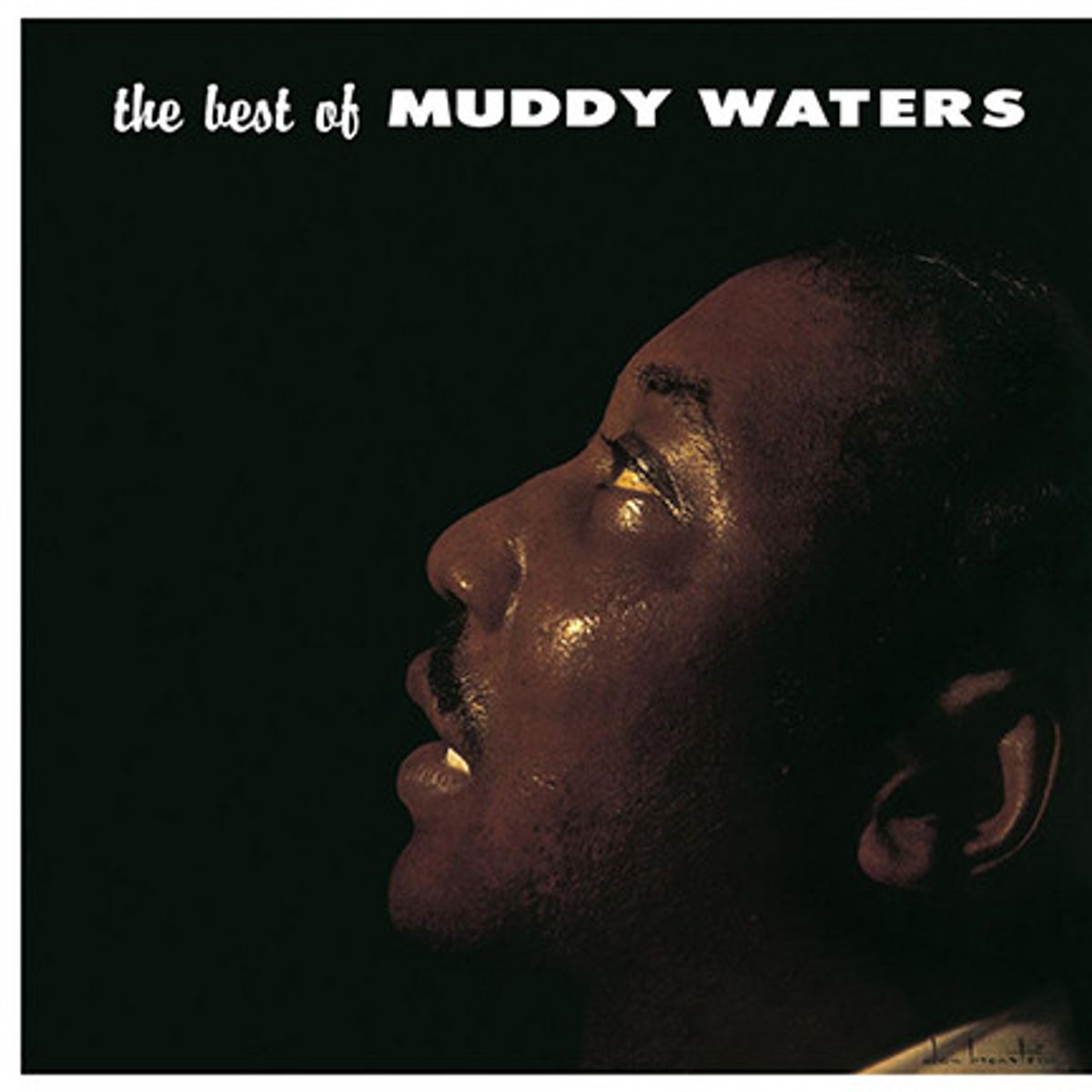 Muddy Waters — The Best Of Muddy Waters