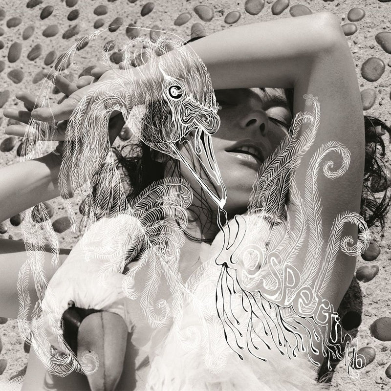 Björk — Vespertine — обложка